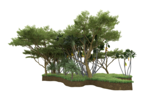 Realistic forest isolated on transparent background. 3d rendering - illustration png