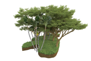 forêt réaliste isolée sur fond transparent. rendu 3d - illustration png