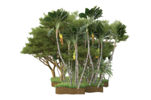 Realistic forest isolated on transparent background. 3d rendering - illustration png