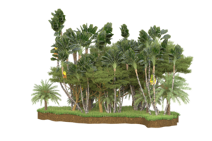 Realistic forest isolated on transparent background. 3d rendering - illustration png