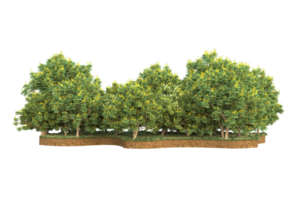 Realistic forest isolated on transparent background. 3d rendering - illustration png