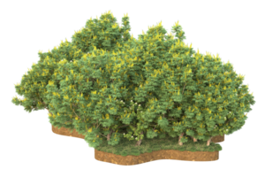 Realistic forest isolated on transparent background. 3d rendering - illustration png