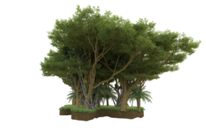 Realistic forest isolated on transparent background. 3d rendering - illustration png