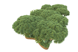 Realistic forest isolated on transparent background. 3d rendering - illustration png