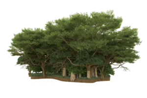 Realistic forest isolated on transparent background. 3d rendering - illustration png