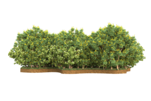 Realistic forest isolated on transparent background. 3d rendering - illustration png