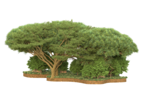 Realistic forest isolated on transparent background. 3d rendering - illustration png