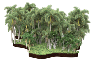 Realistic forest isolated on transparent background. 3d rendering - illustration png