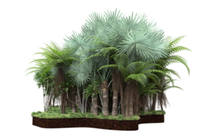 Realistic forest isolated on transparent background. 3d rendering - illustration png