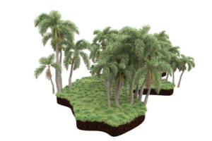 Realistic forest isolated on transparent background. 3d rendering - illustration png