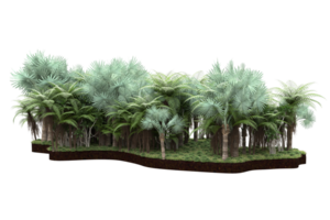 Realistic forest isolated on transparent background. 3d rendering - illustration png