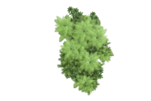 Realistic forest isolated on transparent background. 3d rendering - illustration png