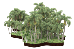 Realistic forest isolated on transparent background. 3d rendering - illustration png