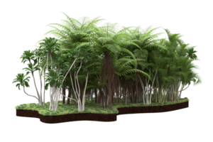 Realistic forest isolated on transparent background. 3d rendering - illustration png