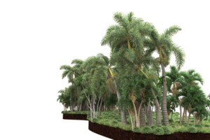 floresta realista isolada em fundo transparente. renderização 3D - ilustração png