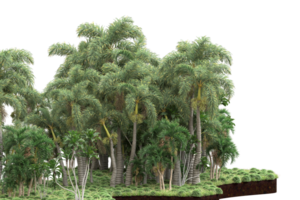 Realistic forest isolated on transparent background. 3d rendering - illustration png