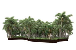 Realistic forest isolated on transparent background. 3d rendering - illustration png