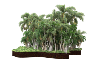 Realistic forest isolated on transparent background. 3d rendering - illustration png