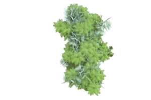 Realistic forest isolated on transparent background. 3d rendering - illustration png