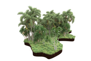 Realistic forest isolated on transparent background. 3d rendering - illustration png