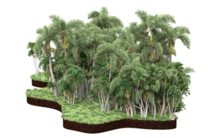 Realistic forest isolated on transparent background. 3d rendering - illustration png