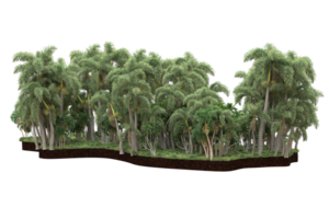 Realistic forest isolated on transparent background. 3d rendering - illustration png