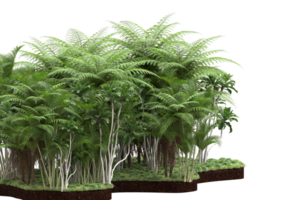 Realistic forest isolated on transparent background. 3d rendering - illustration png