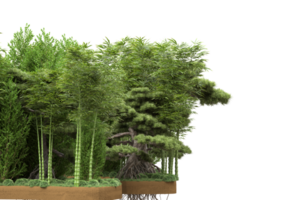 Realistic forest isolated on transparent background. 3d rendering - illustration png