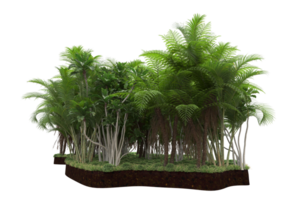 Realistic forest isolated on transparent background. 3d rendering - illustration png