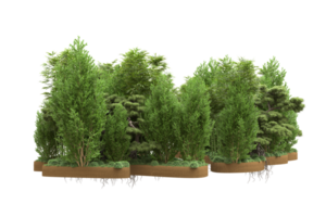 Realistic forest isolated on transparent background. 3d rendering - illustration png