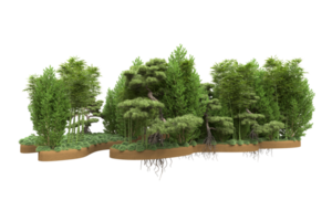 Realistic forest isolated on transparent background. 3d rendering - illustration png