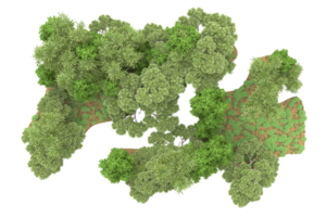 realistico foresta isolato su trasparente sfondo. 3d interpretazione - illustrazione png