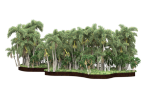 Realistic forest isolated on transparent background. 3d rendering - illustration png