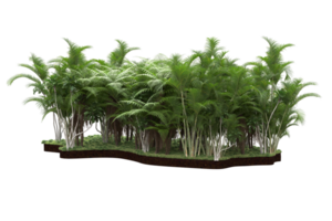 Realistic forest isolated on transparent background. 3d rendering - illustration png