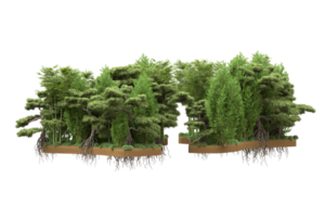 Realistic forest isolated on transparent background. 3d rendering - illustration png