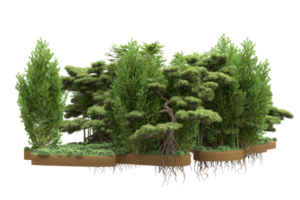 Realistic forest isolated on transparent background. 3d rendering - illustration png