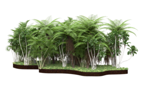 Realistic forest isolated on transparent background. 3d rendering - illustration png