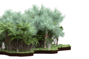 Realistic forest isolated on transparent background. 3d rendering - illustration png