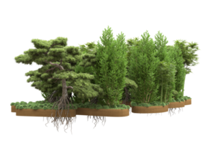 forêt réaliste isolée sur fond transparent. rendu 3d - illustration png