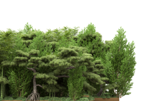 forêt réaliste isolée sur fond transparent. rendu 3d - illustration png