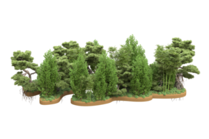 Realistic forest isolated on transparent background. 3d rendering - illustration png