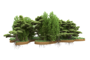 forêt réaliste isolée sur fond transparent. rendu 3d - illustration png