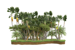 Realistic forest isolated on transparent background. 3d rendering - illustration png