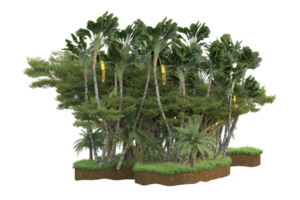 Realistic forest isolated on transparent background. 3d rendering - illustration png