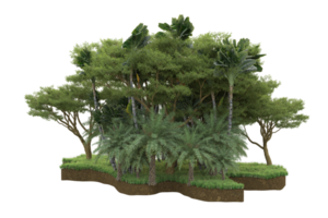 Realistic forest isolated on transparent background. 3d rendering - illustration png