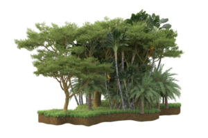 Realistic forest isolated on transparent background. 3d rendering - illustration png