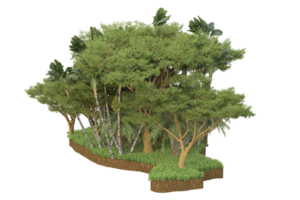 Realistic forest isolated on transparent background. 3d rendering - illustration png