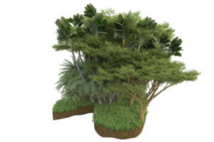 realistischer wald lokalisiert auf transparentem hintergrund. 3D-Rendering - Abbildung png