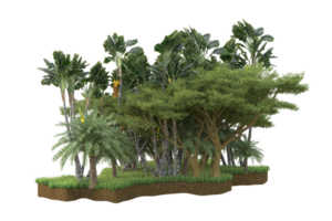 Realistic forest isolated on transparent background. 3d rendering - illustration png