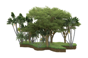 Realistic forest isolated on transparent background. 3d rendering - illustration png